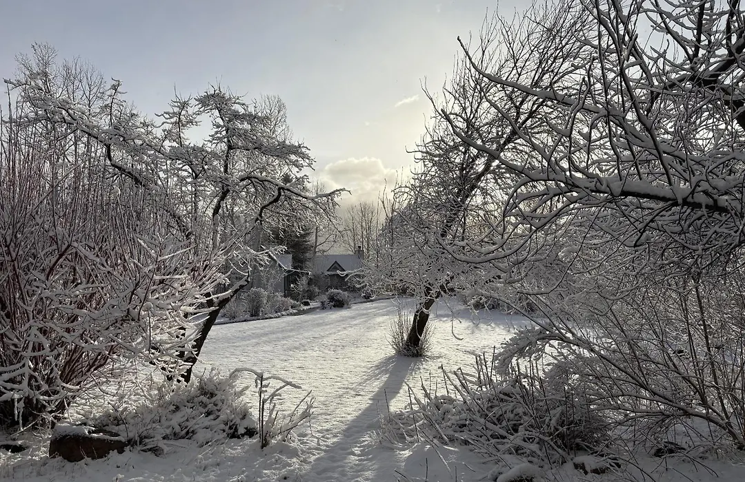 Apple Orchard Inn-1